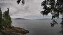 ./images/koeye/fitz-hugh/20250629/fitz-hugh20250629_120506M.jpg