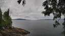 ./images/koeye/fitz-hugh/20250629/fitz-hugh20250629_121511M.jpg