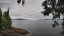 ./images/koeye/fitz-hugh/20250629/fitz-hugh20250629_122508M.jpg