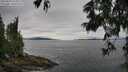 ./images/koeye/fitz-hugh/20250629/fitz-hugh20250629_125009M.jpg