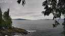 ./images/koeye/fitz-hugh/20250629/fitz-hugh20250629_125508M.jpg