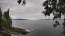 ./images/koeye/fitz-hugh/20250629/fitz-hugh20250629_130510M.jpg