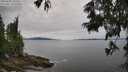 ./images/koeye/fitz-hugh/20250629/fitz-hugh20250629_131510M.jpg