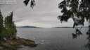 ./images/koeye/fitz-hugh/20250629/fitz-hugh20250629_132510M.jpg