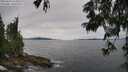 ./images/koeye/fitz-hugh/20250629/fitz-hugh20250629_133510M.jpg
