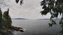 ./images/koeye/fitz-hugh/20250629/fitz-hugh20250629_143509M.jpg