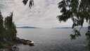 ./images/koeye/fitz-hugh/20250629/fitz-hugh20250629_150010M.jpg