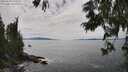 ./images/koeye/fitz-hugh/20250629/fitz-hugh20250629_150510M.jpg