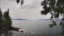 ./images/koeye/fitz-hugh/20250629/fitz-hugh20250629_151010M.jpg