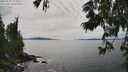 ./images/koeye/fitz-hugh/20250629/fitz-hugh20250629_153011M.jpg