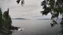 ./images/koeye/fitz-hugh/20250629/fitz-hugh20250629_154510M.jpg