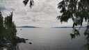 ./images/koeye/fitz-hugh/20250629/fitz-hugh20250629_160510M.jpg