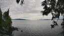 ./images/koeye/fitz-hugh/20250629/fitz-hugh20250629_164511M.jpg