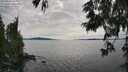 ./images/koeye/fitz-hugh/20250629/fitz-hugh20250629_165010M.jpg
