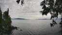 ./images/koeye/fitz-hugh/20250629/fitz-hugh20250629_165510M.jpg