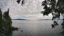 ./images/koeye/fitz-hugh/20250629/fitz-hugh20250629_170011M.jpg