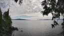 ./images/koeye/fitz-hugh/20250629/fitz-hugh20250629_170511M.jpg