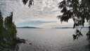 ./images/koeye/fitz-hugh/20250629/fitz-hugh20250629_171010M.jpg