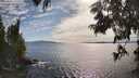 ./images/koeye/fitz-hugh/20250629/fitz-hugh20250629_173012M.jpg