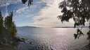 ./images/koeye/fitz-hugh/20250629/fitz-hugh20250629_173509M.jpg