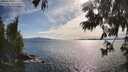 ./images/koeye/fitz-hugh/20250629/fitz-hugh20250629_174511M.jpg