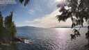 ./images/koeye/fitz-hugh/20250629/fitz-hugh20250629_175010M.jpg