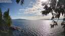 ./images/koeye/fitz-hugh/20250629/fitz-hugh20250629_180510M.jpg