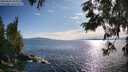 ./images/koeye/fitz-hugh/20250629/fitz-hugh20250629_182008M.jpg