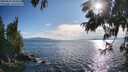 ./images/koeye/fitz-hugh/20250629/fitz-hugh20250629_184511M.jpg