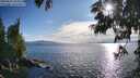 ./images/koeye/fitz-hugh/20250629/fitz-hugh20250629_185010M.jpg