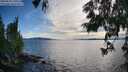 ./images/koeye/fitz-hugh/20250629/fitz-hugh20250629_191009M.jpg