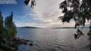 ./images/koeye/fitz-hugh/20250629/fitz-hugh20250629_192009M.jpg