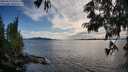 ./images/koeye/fitz-hugh/20250629/fitz-hugh20250629_193508M.jpg