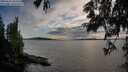 ./images/koeye/fitz-hugh/20250629/fitz-hugh20250629_203508M.jpg