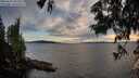 ./images/koeye/fitz-hugh/20250629/fitz-hugh20250629_205509M.jpg