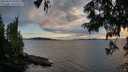 ./images/koeye/fitz-hugh/20250629/fitz-hugh20250629_210507M.jpg