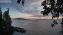 ./images/koeye/fitz-hugh/20250629/fitz-hugh20250629_212509M.jpg