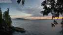./images/koeye/fitz-hugh/20250629/fitz-hugh20250629_213010M.jpg