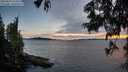 ./images/koeye/fitz-hugh/20250629/fitz-hugh20250629_214509M.jpg