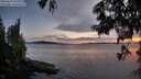./images/koeye/fitz-hugh/20250629/fitz-hugh20250629_221009M.jpg