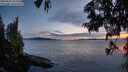 ./images/koeye/fitz-hugh/20250629/fitz-hugh20250629_222009M.jpg