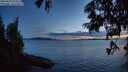 ./images/koeye/fitz-hugh/20250629/fitz-hugh20250629_223509M.jpg