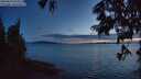 ./images/koeye/fitz-hugh/20250629/fitz-hugh20250629_224507M.jpg