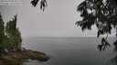 ./images/koeye/fitz-hugh/20250630/fitz-hugh20250630_085009M.jpg