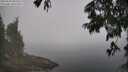 ./images/koeye/fitz-hugh/20250630/fitz-hugh20250630_095510M.jpg