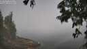 ./images/koeye/fitz-hugh/20250630/fitz-hugh20250630_105510M.jpg