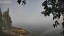 ./images/koeye/fitz-hugh/20250630/fitz-hugh20250630_111010M.jpg