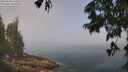 ./images/koeye/fitz-hugh/20250630/fitz-hugh20250630_112508M.jpg