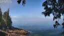 ./images/koeye/fitz-hugh/20250630/fitz-hugh20250630_114010M.jpg