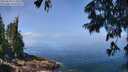 ./images/koeye/fitz-hugh/20250630/fitz-hugh20250630_114509M.jpg